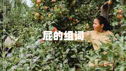 屁的組詞