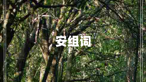 安組詞