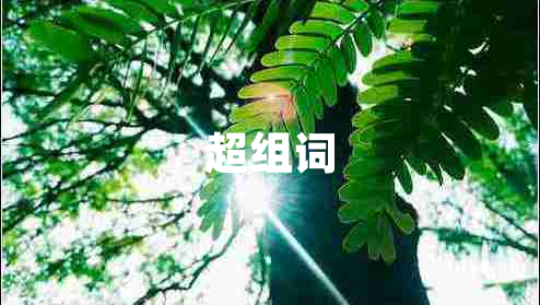 超組詞