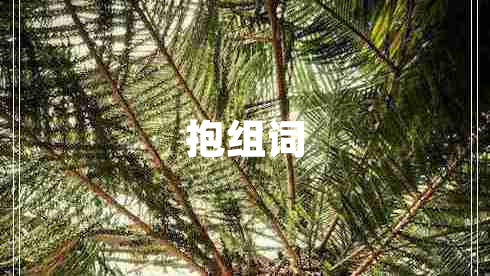 抱組詞
