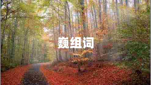巍組詞