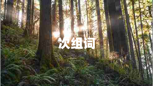 次組詞