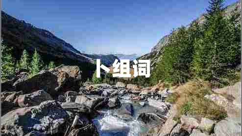 卜組詞