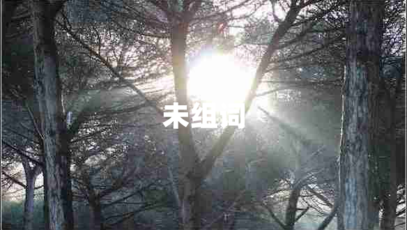未組詞