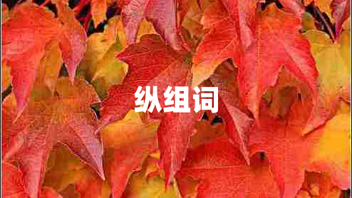 縱組詞