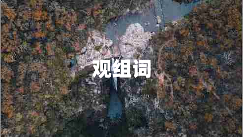 觀組詞