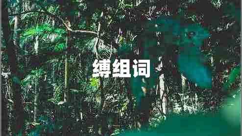 縛組詞