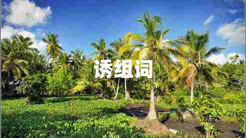 誘組詞