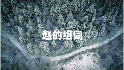 趙的組詞