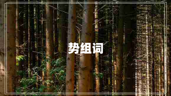 勢組詞