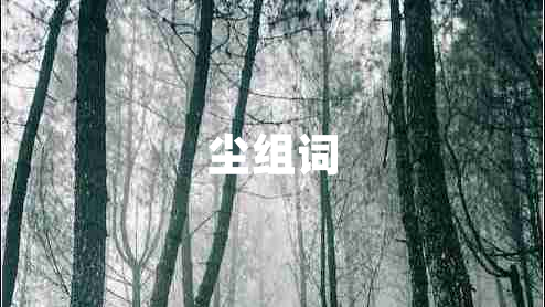 塵組詞