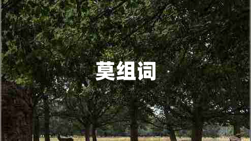 莫組詞