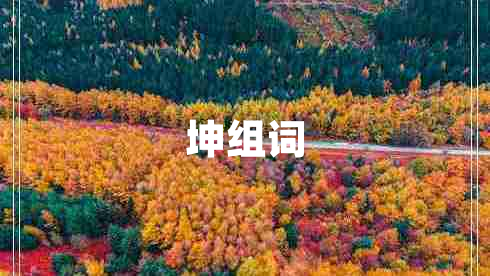 坤組詞