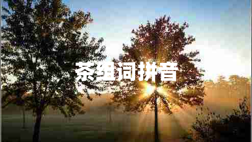 茶組詞拼音