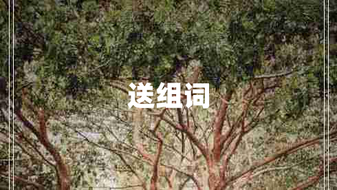 送組詞