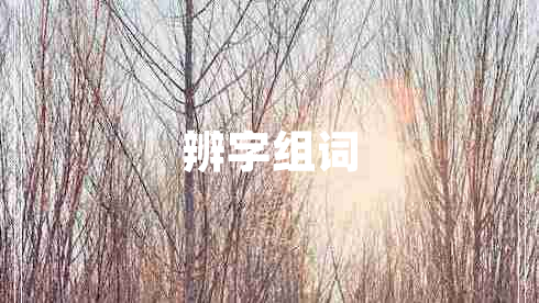 辨字組詞