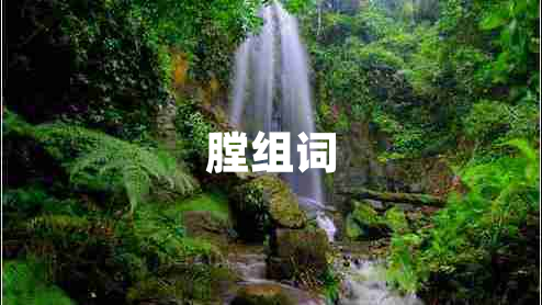 膛組詞
