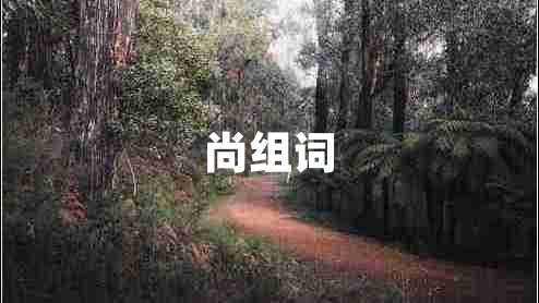 尚組詞
