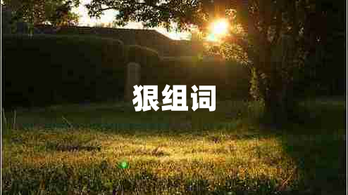 狠組詞