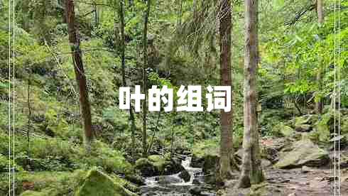 葉的組詞