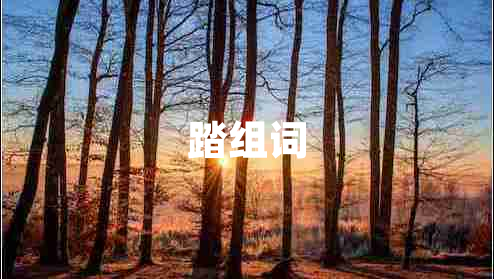 踏組詞