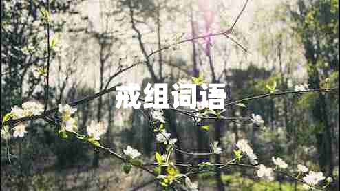 戒組詞語