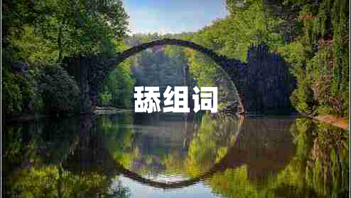 舔組詞