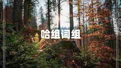 哈組詞組