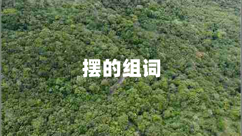 擺的組詞