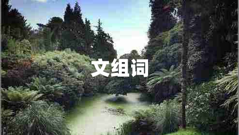 文組詞