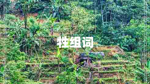 牲組詞