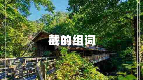 截的組詞