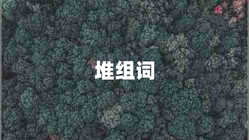 堆組詞