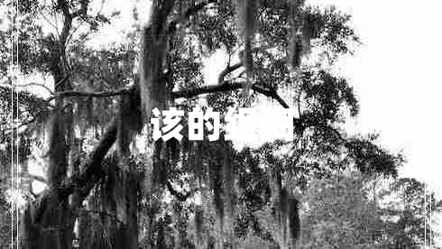 該的組詞