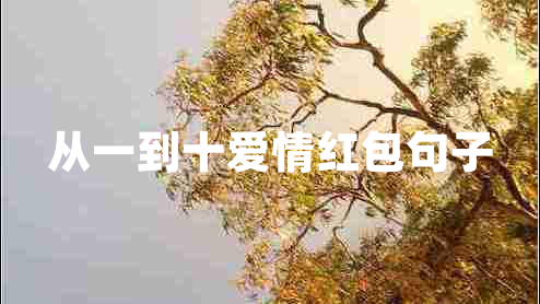 從一到十愛情紅包句子