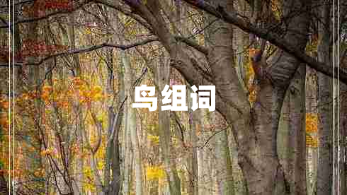 鳥組詞