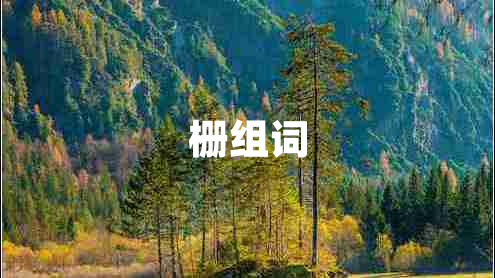柵組詞