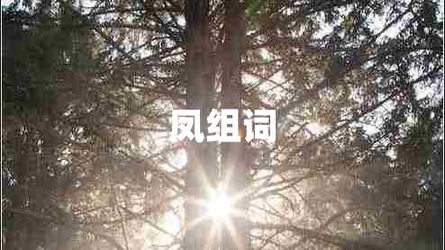 鳳組詞