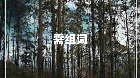 需組詞