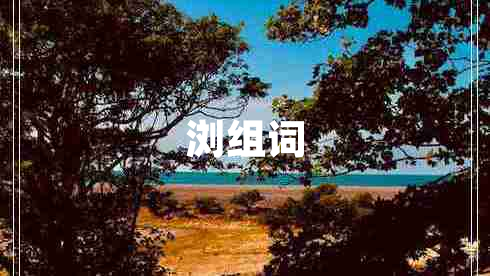 瀏組詞