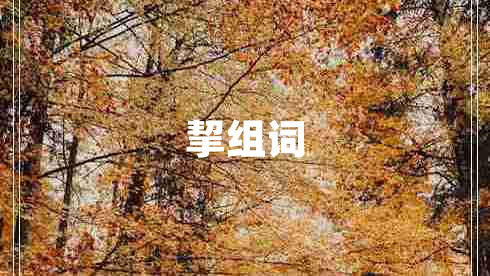 挈組詞
