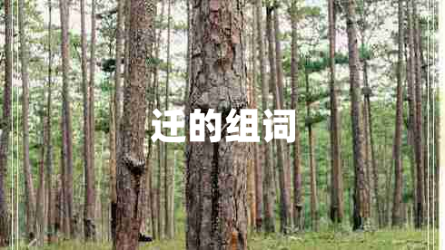 遷的組詞