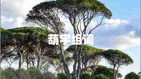葫字組詞