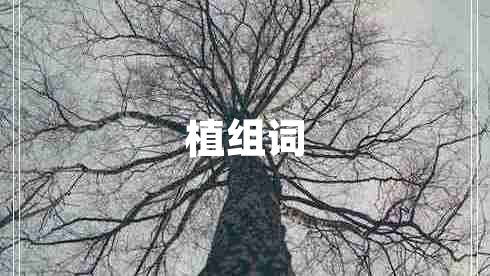 植組詞