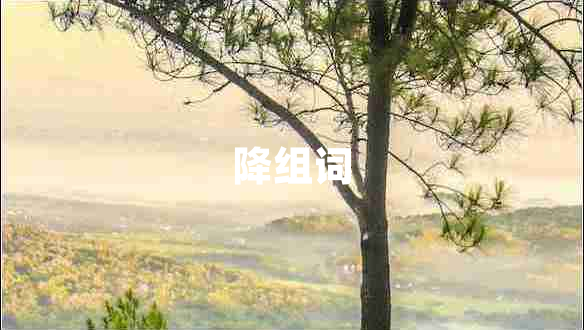 降組詞