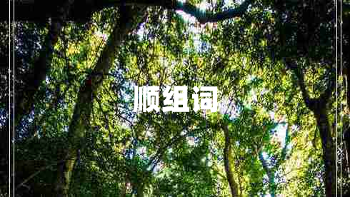順組詞