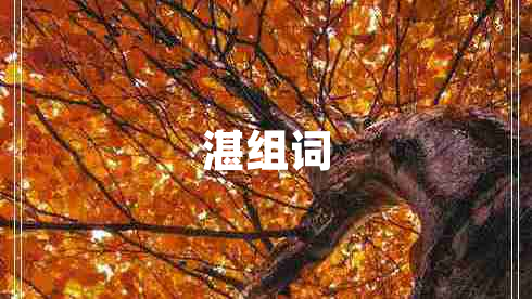 湛組詞