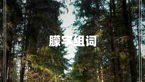 朦字組詞