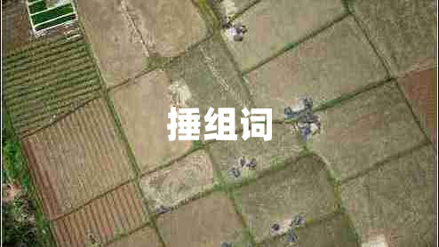 捶組詞