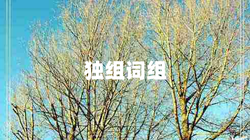 獨組詞組